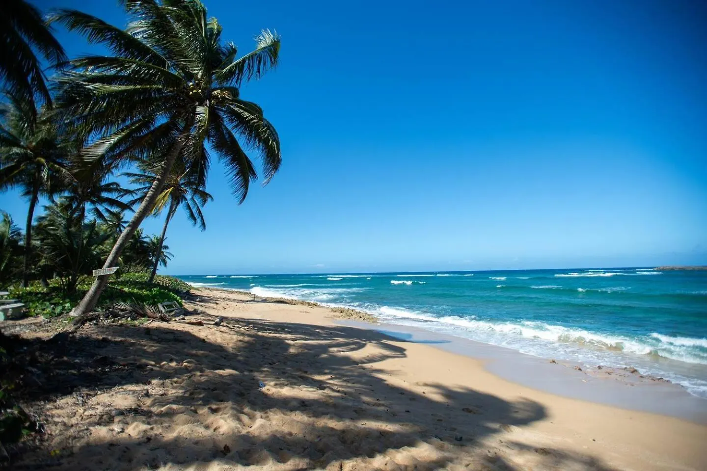 Apartament White Paradise Beach House Your Coastal Haven Vega Baja Portoryko